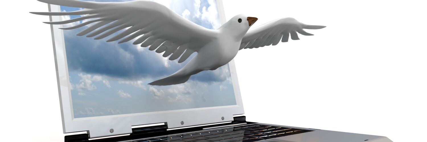 bird flying out of laptop